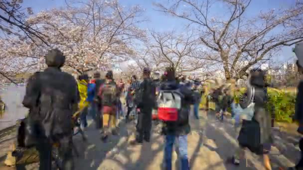 Tokio Japan April 2017 Tijdsverloop Van Toeristisch Lokaal Bezoek Aan — Stockvideo