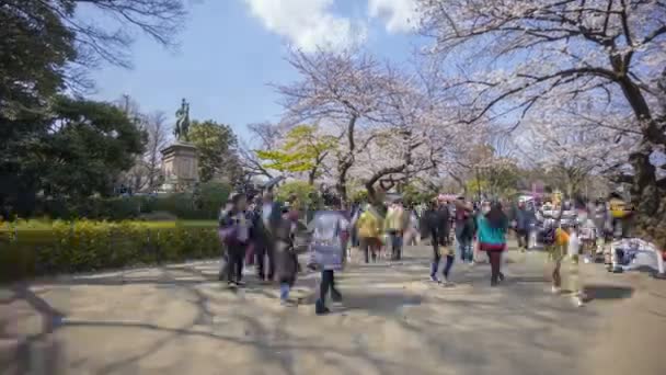 日本东京 2017年4月4日 游客和当地游客在樱花盛开期间造访植野公园 Sakura Hanami 这里是观赏樱花的著名地方 放大点 — 图库视频影像