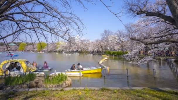 Tokyo Giappone Aprile 2017 Time Lapse Turisti Locali Che Visitano — Video Stock