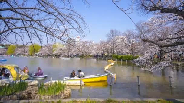 Tokyo Giappone Aprile 2017 Time Lapse Turisti Locali Che Visitano — Video Stock