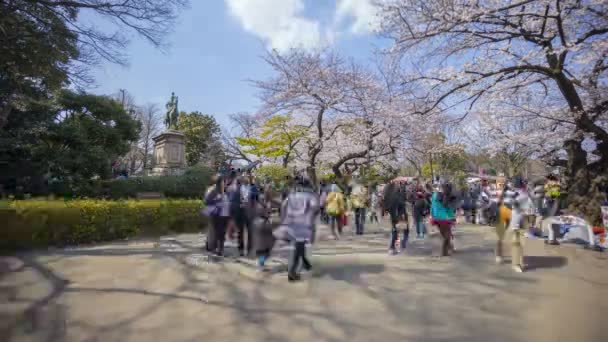 東京都 2017年4月4日 早咲きの桜 桜花見 で観光客や地元の人々が上野公園を訪れる時間の経過 桜の名所として知られています — ストック動画