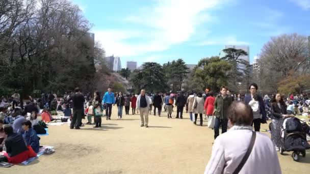 日本东京 2017年4月 日本东京 Roll的东京国家公园电影胶片 观众可以欣赏樱花 Sakura Hanami 这是最有名的观赏樱花的地方之一 — 图库视频影像