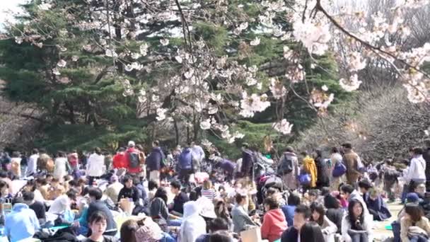 Tokio Japonia Circa Kwiecień 2017 Roll Materiał Filmowy Tokio National — Wideo stockowe