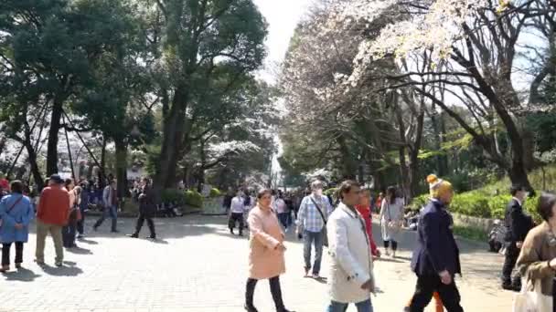 Tokyo Japon Circa Avril 2017 Des Séquences Cinématographiques Roll Parc — Video