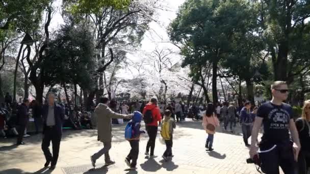 Tokyo Japan Circa April 2017 Roll Filmische Beelden Van Tokyo — Stockvideo