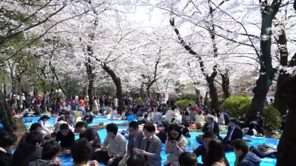 Tokio Japonia Circa Kwiecień 2017 Roll Materiał Filmowy Tokio National — Wideo stockowe