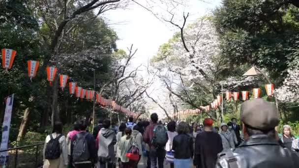 Tokyo Japan Circa April 2017 Roll Filmische Beelden Van Tokyo — Stockvideo
