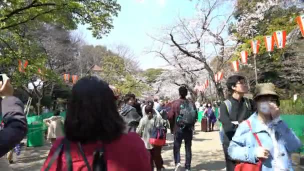 Токио Япония Апрель 2017 Года Roll Кинокадры Национального Парка Токио — стоковое видео