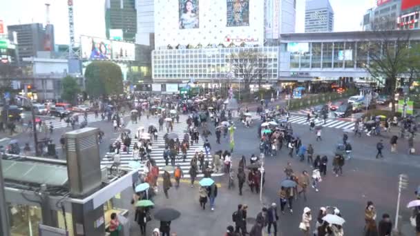 Shibuya Tokyo Japonya Nisan 2017 Dünyanın Işlek Kavşaklarından Biri Olan — Stok video