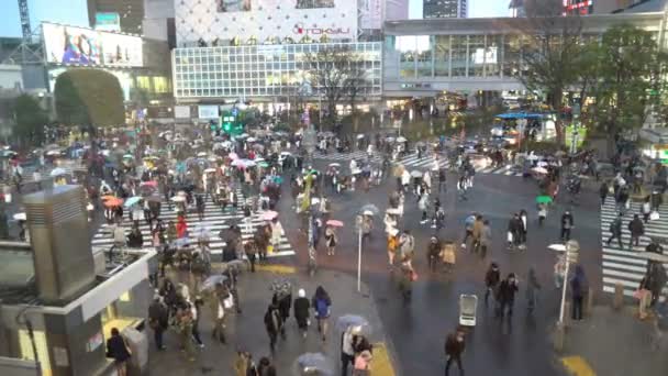 Shibuya Tokio Japón Abril 2017 Roll Cinemático Que Establece Imágenes — Vídeos de Stock