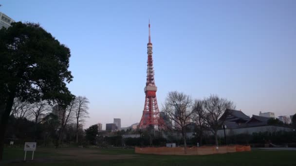 Токио Япония Апреля 2017 Года Токийская Башня Видно Парка Сиба — стоковое видео