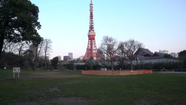 Tokyo Japan April 2017 Tokyo Tower Sett Utifrån Shiba Park — Stockvideo