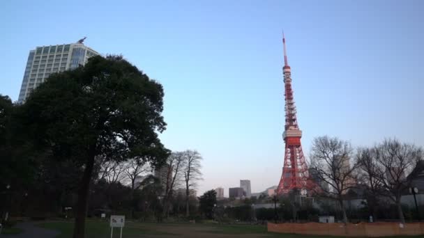 Токио Япония Апреля 2017 Года Токийская Башня Видно Парка Сиба — стоковое видео