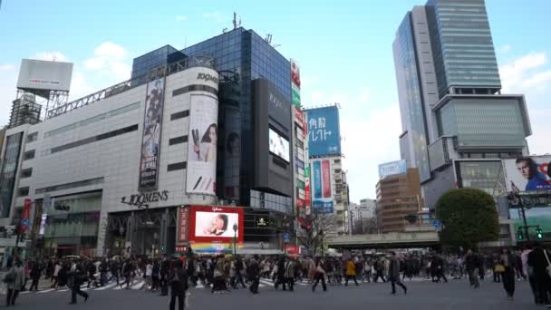 Сибуя Токио Япония Апреля 2017 Года Кинотеатр Ролл Снимает Перекрёсток — стоковое видео