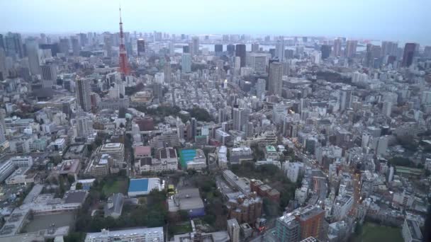 Roll Cinematográfico Estableciendo Imágenes Atardecer Hora Azul Atardecer Escena Ciudad — Vídeos de Stock