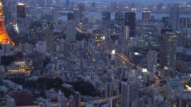 Roll Cinematográfico Estabelecer Filmagens Crepúsculo Azul Cena Hora Pôr Sol — Vídeo de Stock