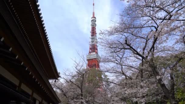 Tóquio Japão Abril 2017 Torre Tóquio Vista Parque Shiba Durante — Vídeo de Stock