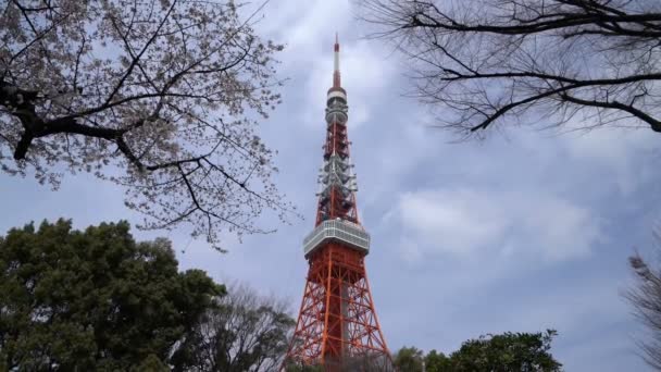 Tokio Japón Abril 2017 Torre Tokio Vista Desde Shiba Park — Vídeo de stock