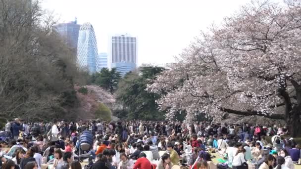 Tóquio Japão Circa Abril 2017 Roll Filmagens Cinematográficas Parque Nacional — Vídeo de Stock