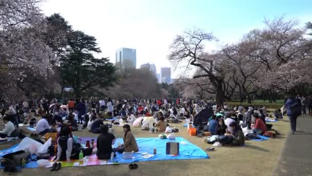 Tokio Japonia Circa Kwiecień 2017 Roll Materiał Filmowy Tokio National — Wideo stockowe