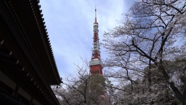 Tokio Japan April 2017 Tokyo Tower Vom Shiba Park Aus — Stockvideo