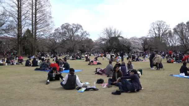 Tokio Japan Circa April 2017 Roll Filmaufnahmen Aus Dem Tokioter — Stockvideo