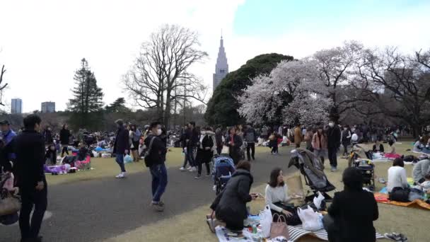 Tokió Japán 2017 Április Körül Roll Mozifilm Tokiói Nemzeti Parkról — Stock videók