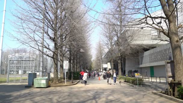 Tokyo Japon Circa Avril 2017 Des Séquences Cinématographiques Roll Parc — Video