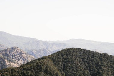Pine Forest Hill, arka plandaki dağlarda, sislerin içinde..