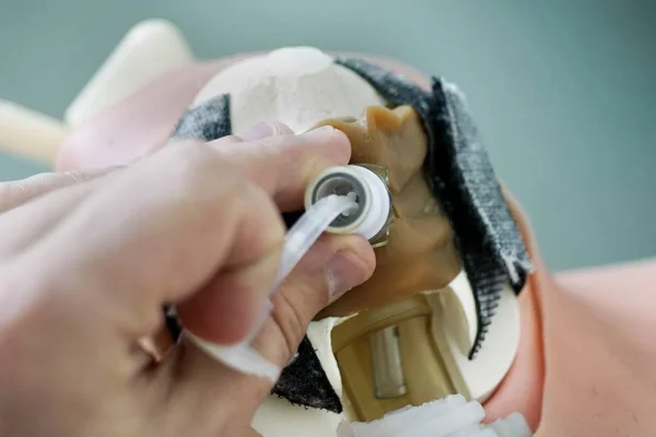 Inserire Tubo Tracheale Durante Cricotirotomia Modello Anatomico Classi Simulazione Manichino — Foto Stock