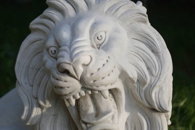Açık ağzı yüzü kafasına mermer aslan heykeli