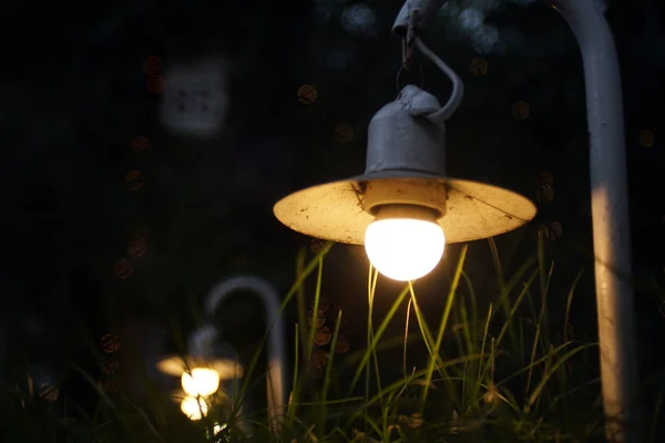 Small Garden Light, Lanterns In grass Bed. Garden Design. Luminarias and Christmas lights decorate a garden at night. Lights and lanterns in the wedding. Bokeh.