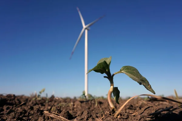 Eco power, wind turbines with blue sky. wind turbine for alternative electricity.renewable electric farm with sustainable eco-friendly technology using wind energy rotation for wind turbines renewable