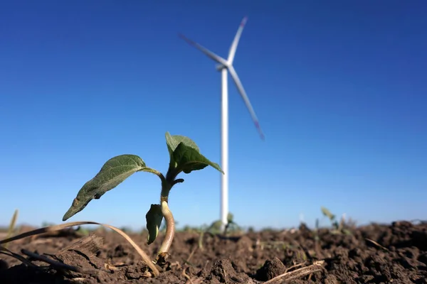 Eco power, wind turbines with blue sky. wind turbine for alternative electricity.renewable electric farm with sustainable eco-friendly technology using wind energy rotation for wind turbines renewable