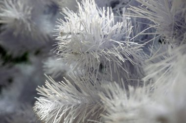 Beyaz Noel ağacı süsleme closeup arka plan - görüntü olmadan