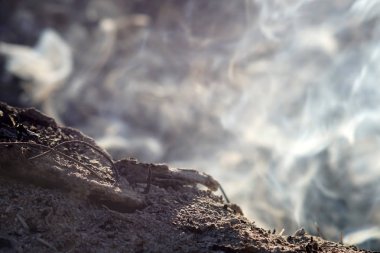 Duman ve şenlik ateşi külleri uzun pozlama. yakın çekim makro.