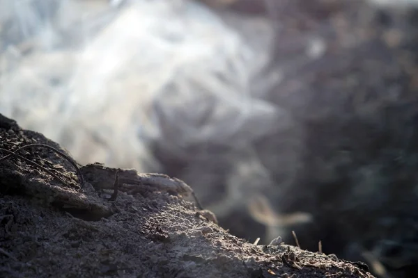 Καπνός Και Στάχτες Από Πυρά Μακράς Έκθεσης Κλείσιμο Μακροεντολής — Φωτογραφία Αρχείου