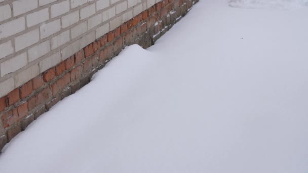 Remoção de neve com uma pá de madeira — Vídeo de Stock