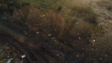 Polietilen torbalarla kirlilik. Ağaçlar plastik çöp ile kaplıdır.