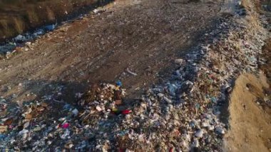 Çevreyi kirleten bir çöplük. Ekosistemin imha edilmesi. Aç kuşlar