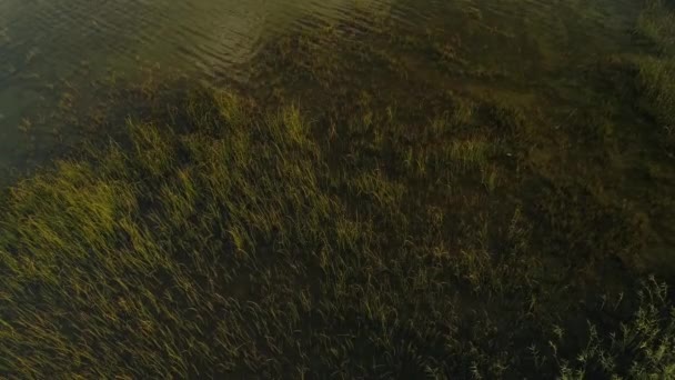 Veel water op het meer Svityaz. 2018. — Stockvideo