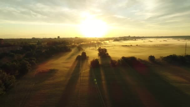 Niebla matutina en los rayos del amanecer . — Vídeos de Stock