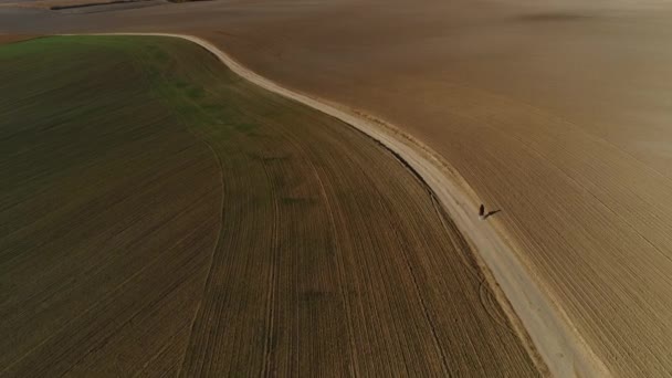 Der Geländewagen fährt zwischen den Feldern an einer Fußgängerin vorbei. — Stockvideo