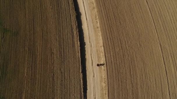 Uma fotógrafa solitária caminha entre campos semeados. Pára e tira fotos. — Vídeo de Stock