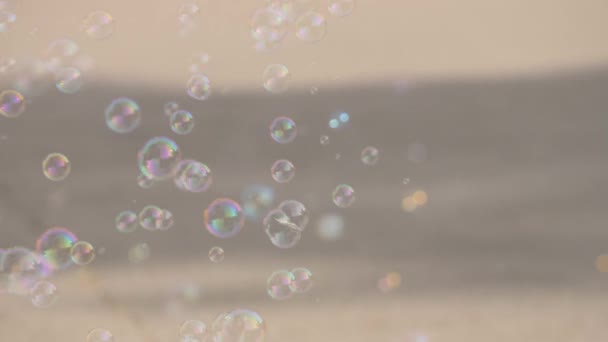 Soap bubbles move chaotically in the air. — Stock Video