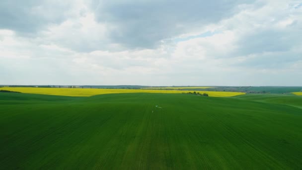 O garoto corre pelo campo com um papagaio voando atrás dele. — Vídeo de Stock