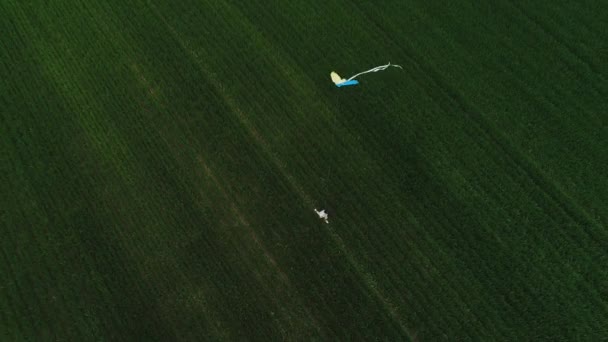 Chlapec běží přes zelené pole a za ním letí drak. — Stock video