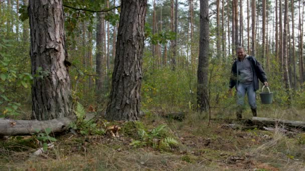 Un joven encontró dos grandes hongos blancos en el bosque.. — Vídeos de Stock