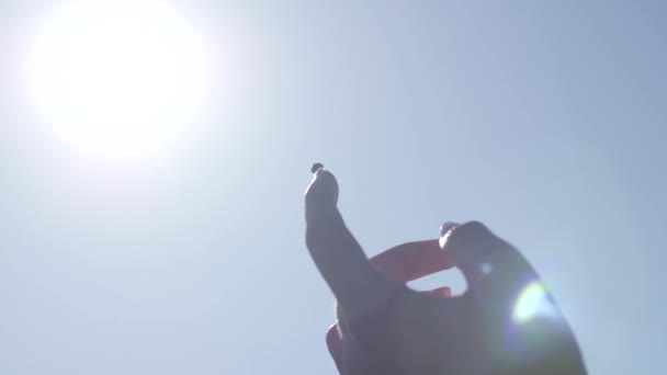 Coccinellidae sits on the index finger of a womans hand and begins its flight — Stock Video