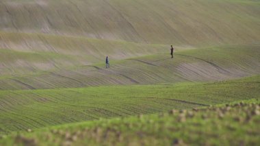 Ukulele çalan genç bir adam genç bir kadınla buluşmak için tepelik bir arazide yürüyor..